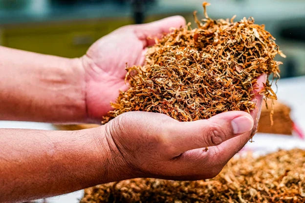 The History of Nicotine Pouches