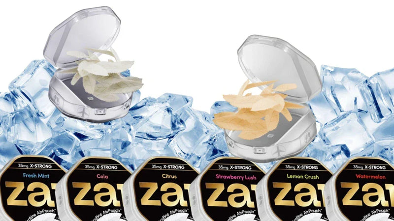 What’s the Recommended Daily Limit for Nicotine Pouches?