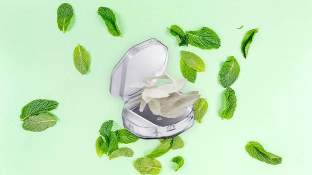 Best Mint Nicotine Pouches in the USA: Cooling Levels Compared