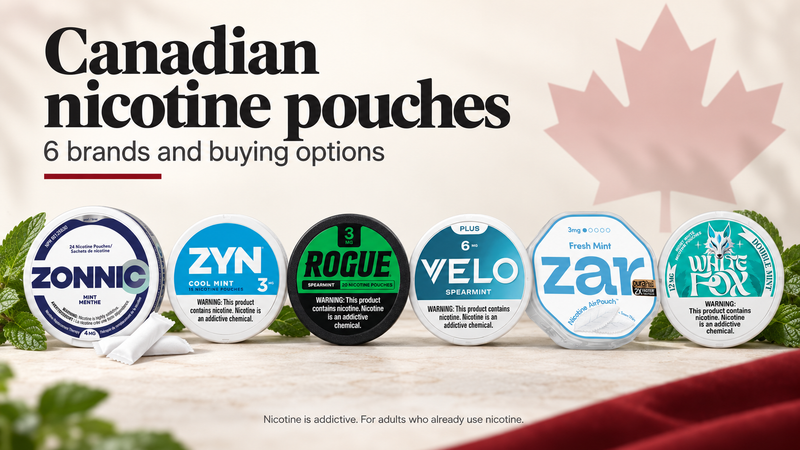 Canadian nicotine pouches: 6 brands and buying options