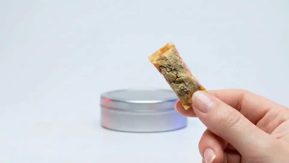 Do Nicotine Pouches Expire? 3 Dangerous Signs of Decay