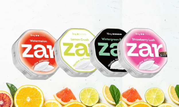 Top Nicotine Pouch Flavors Ranked by Real Users