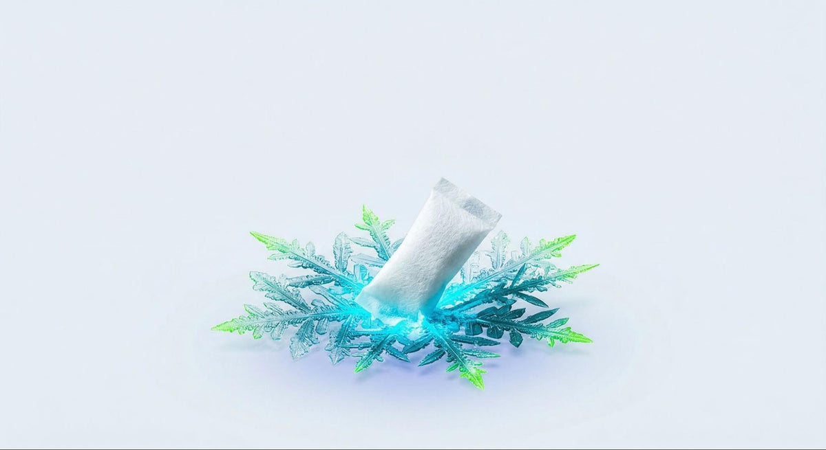 Best Wintergreen Nicotine Pouches: 3 U.S. Picks