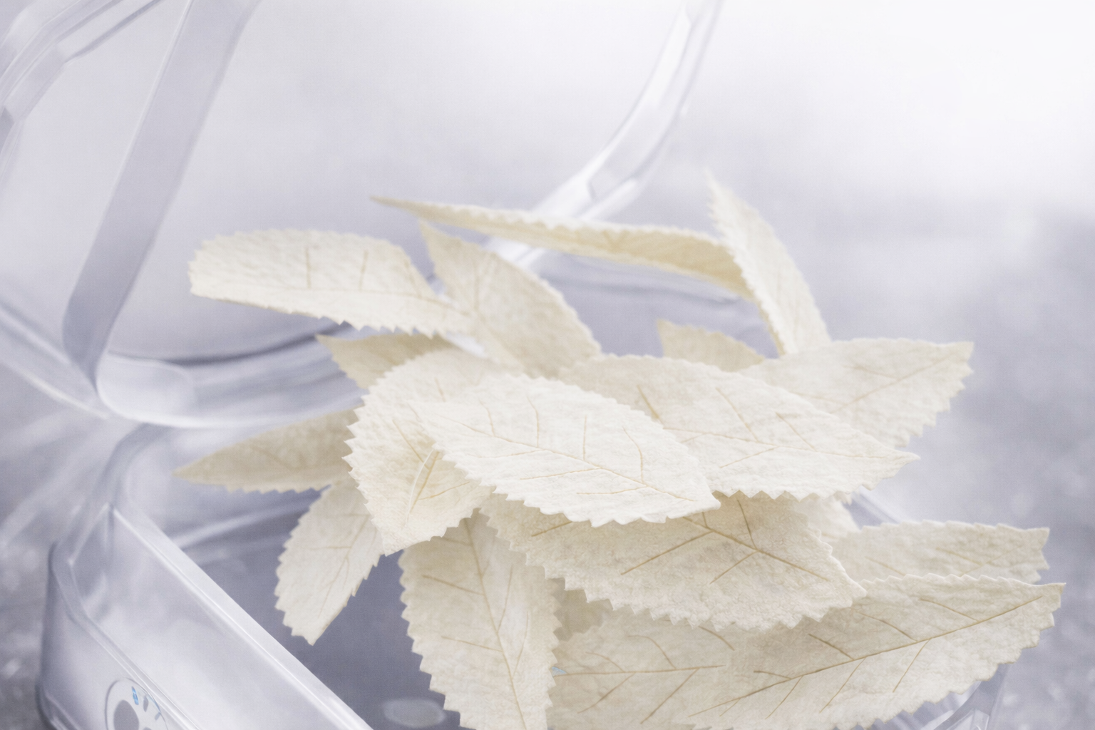 zar nicotine pouches with leaf-shaped design
