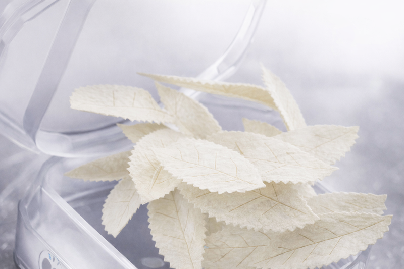 zar nicotine pouches with leaf-shaped design