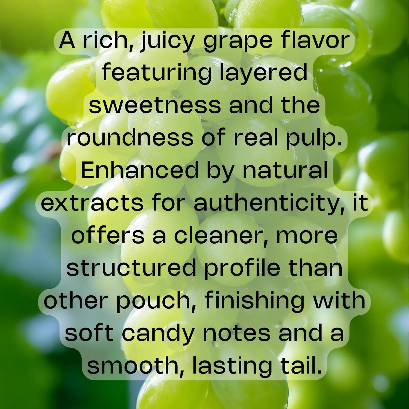 Get US Nicotine Oral Product zar AirPouch Grape Flavor Flavour 6mg Nicotine Velvety grape sweetness  🍇