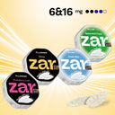 6MG+16MG Sampler Nicotine AirPouch